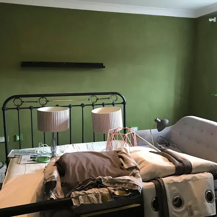 Sap Green schlafzimmer farbe